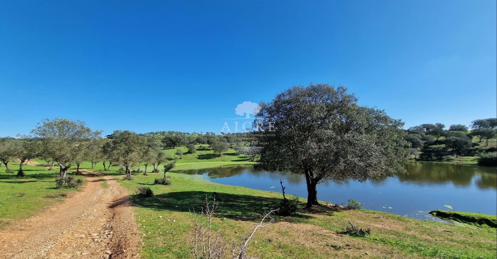 Terreno para Venda em Reguengos de Monsaraz Foto 67