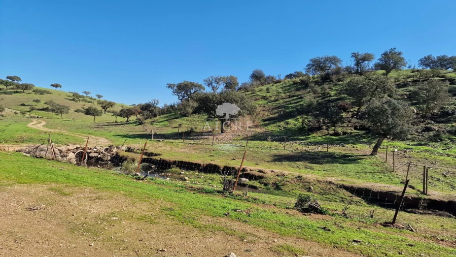 Terreno para Venda em Reguengos de Monsaraz Foto 50