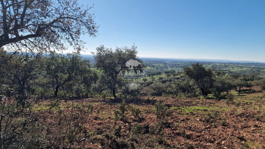 Terreno para Venda em Reguengos de Monsaraz Foto 47