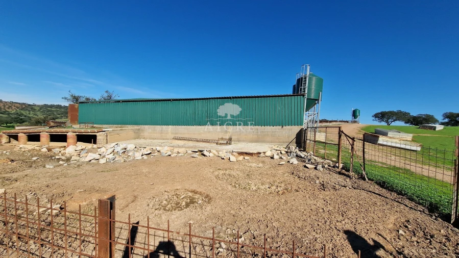 Terreno para Venda em Reguengos de Monsaraz Foto 57