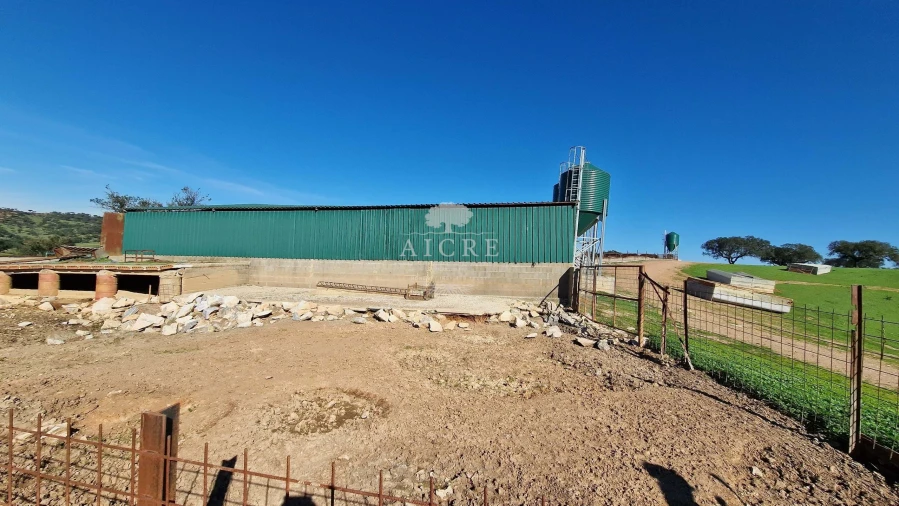 Terreno para Venda em Reguengos de Monsaraz Foto 56