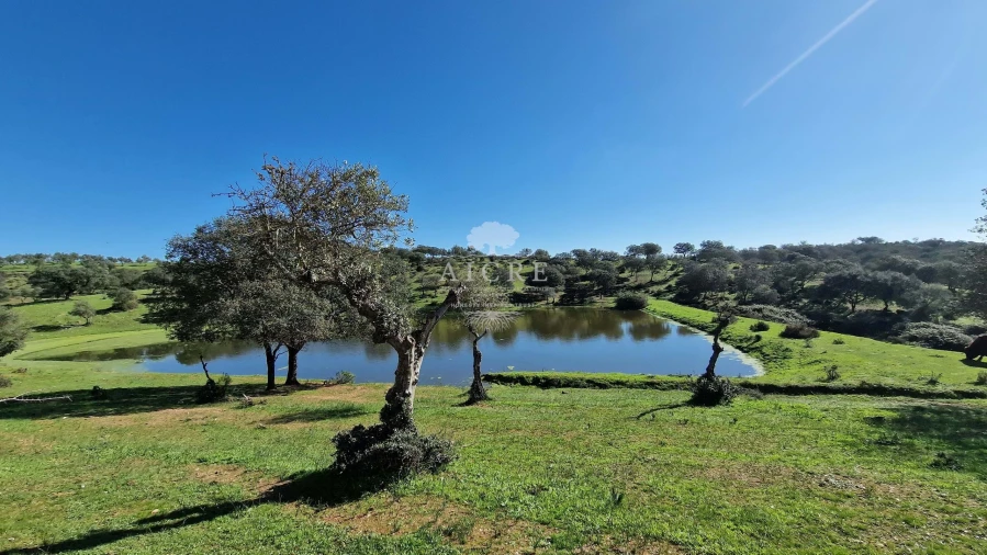 Terreno para Venda em Reguengos de Monsaraz Foto 66