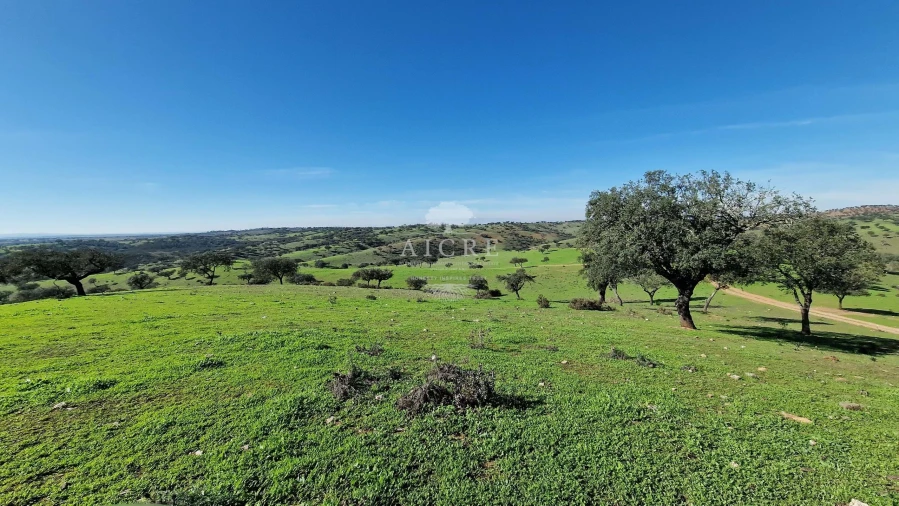 Terreno para Venda em Reguengos de Monsaraz Foto 58