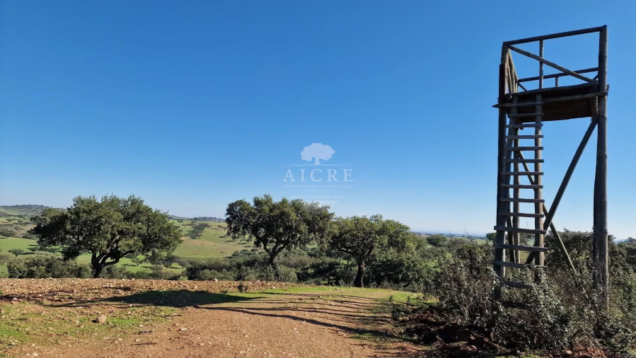 Terreno para Venda em Reguengos de Monsaraz Foto 43
