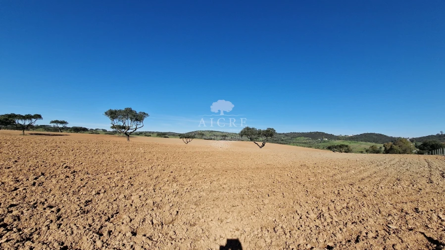 Terreno para Venda em Reguengos de Monsaraz Foto 9