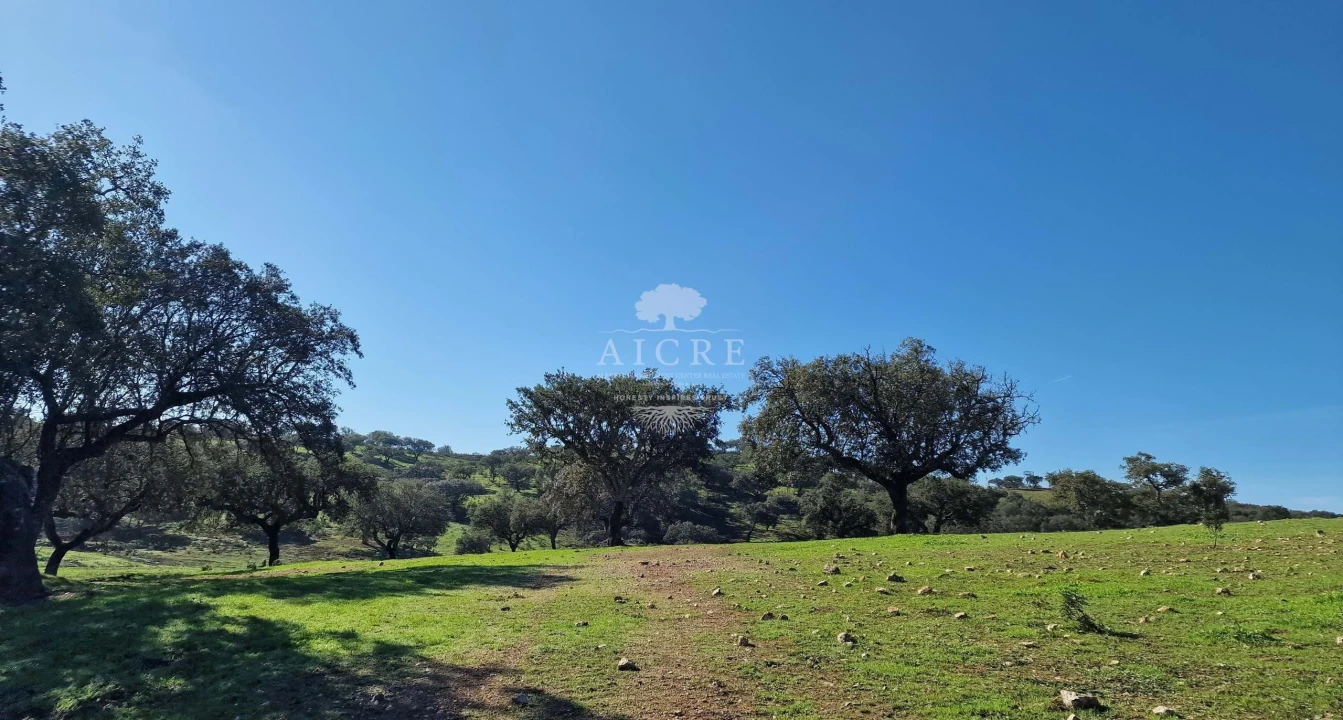 Terreno para Venda em Reguengos de Monsaraz Foto 33