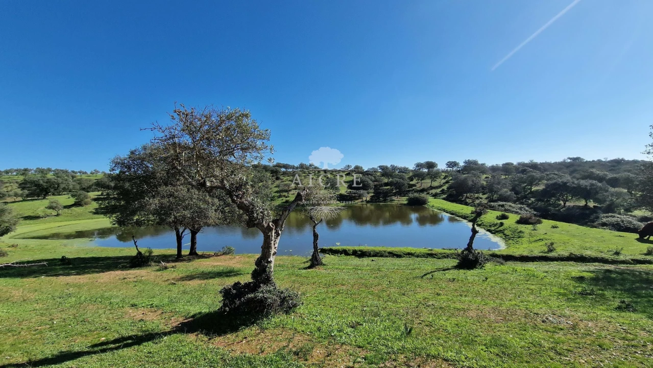 Terreno para Venda em Reguengos de Monsaraz Foto 66