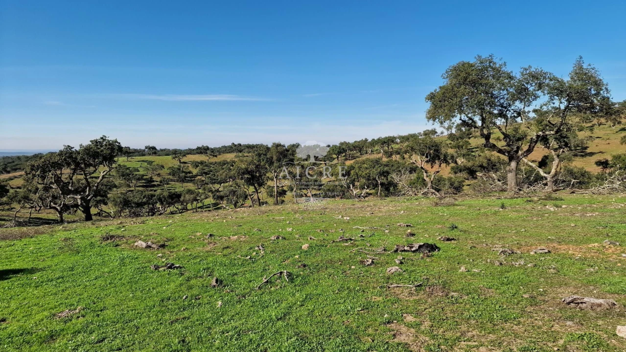 Terreno para Venda em Reguengos de Monsaraz Foto 27