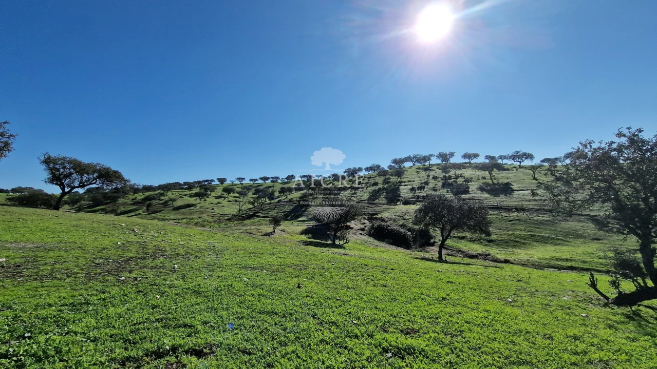 Terreno para Venda em Reguengos de Monsaraz Foto 53
