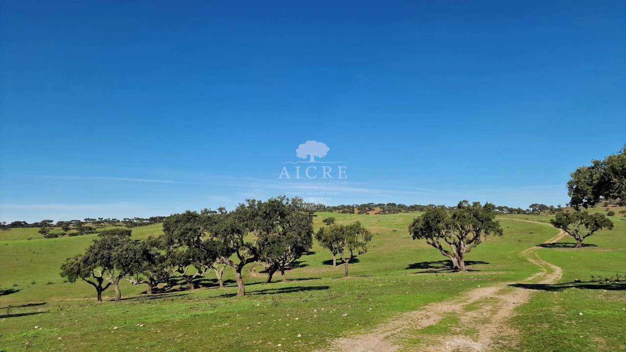 Terreno para Venda em Reguengos de Monsaraz Foto 25