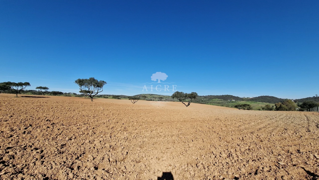 Terreno para Venda em Reguengos de Monsaraz Foto 9