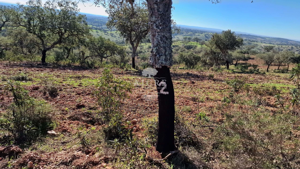 Terreno para Venda em Reguengos de Monsaraz Foto 48