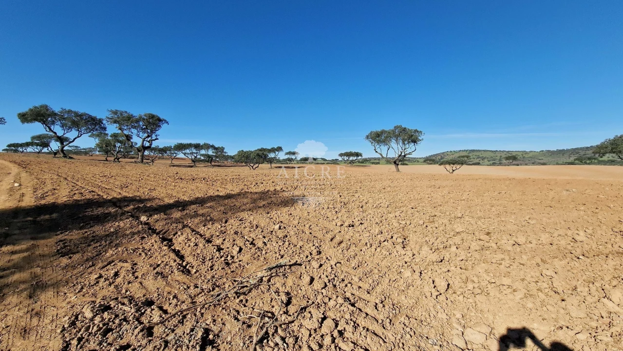 Terreno para Venda em Reguengos de Monsaraz Foto 12