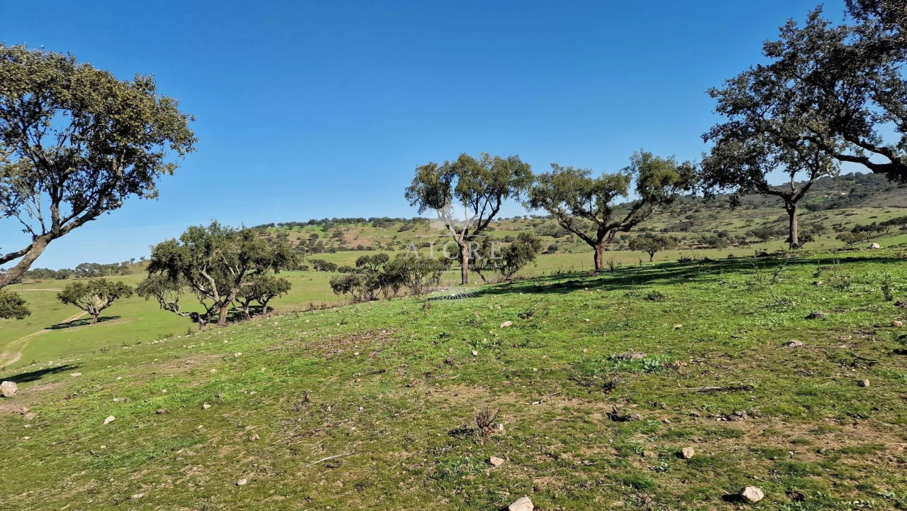 Terreno para Venda em Reguengos de Monsaraz Foto 23