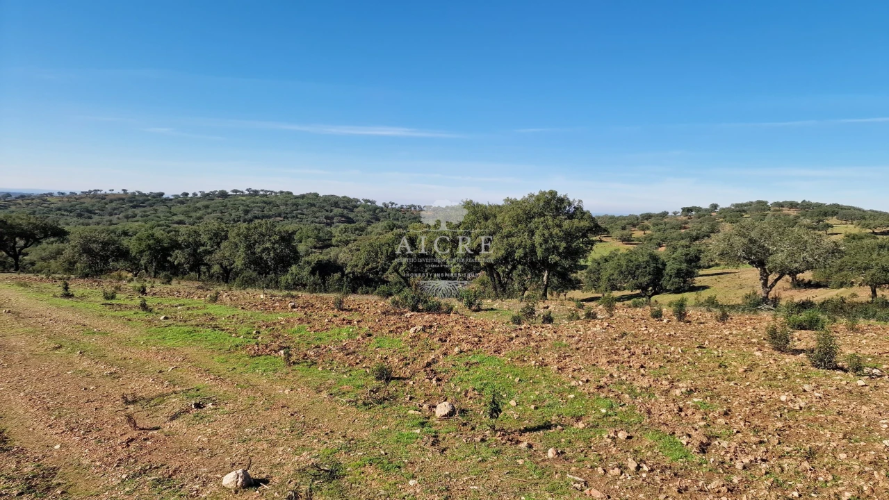 Terreno para Venda em Reguengos de Monsaraz Foto 40