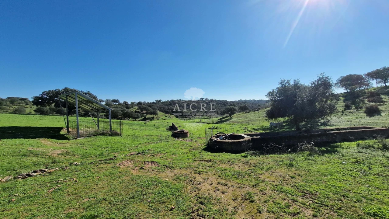 Terreno para Venda em Reguengos de Monsaraz Foto 63