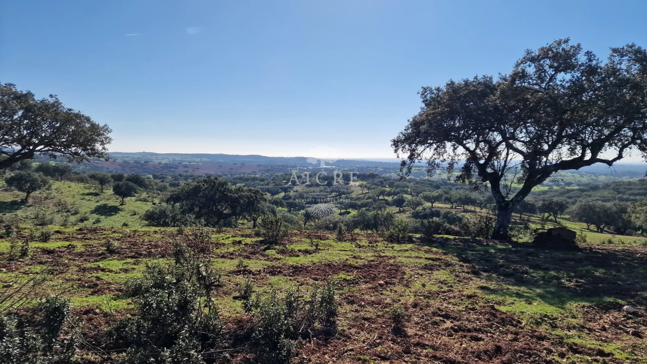 Terreno para Venda em Reguengos de Monsaraz Foto 39