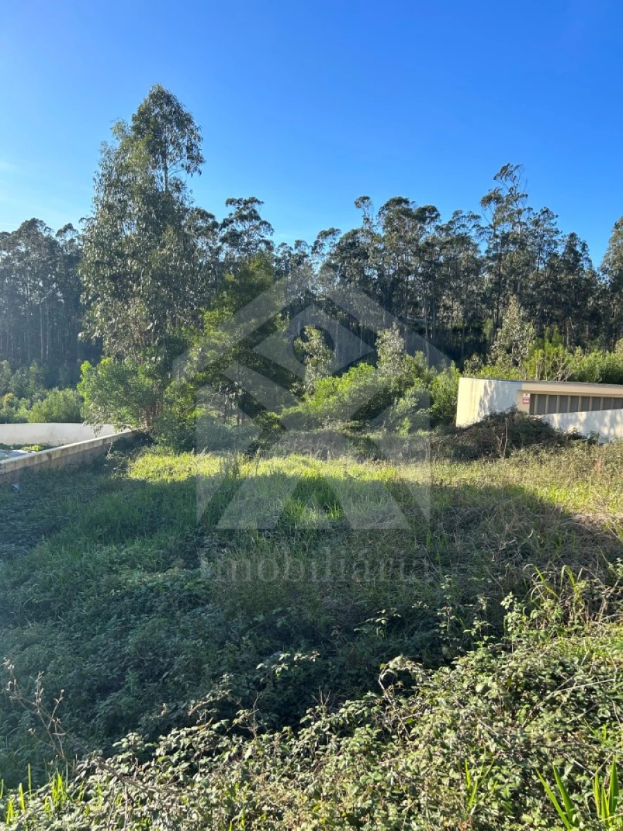 Terreno para Venda em Laundos