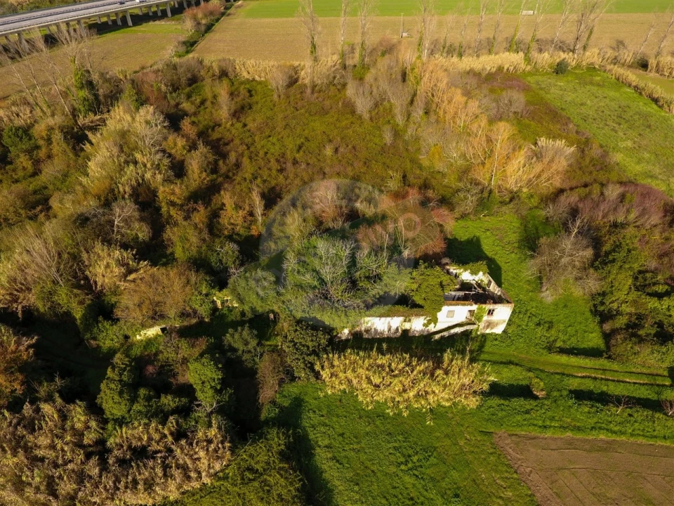 Quinta T5 para Venda em Ega Foto 3