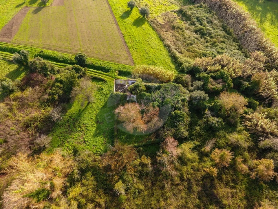 Quinta T5 para Venda em Ega Foto 5