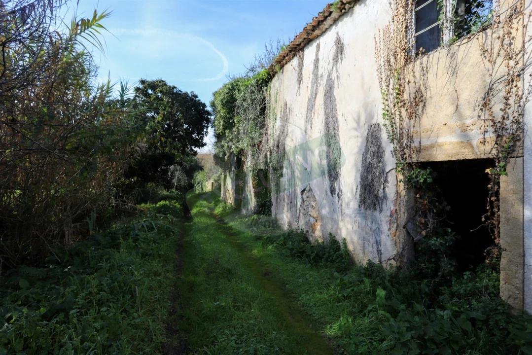 Quinta T5 para Venda em Ega Foto 12