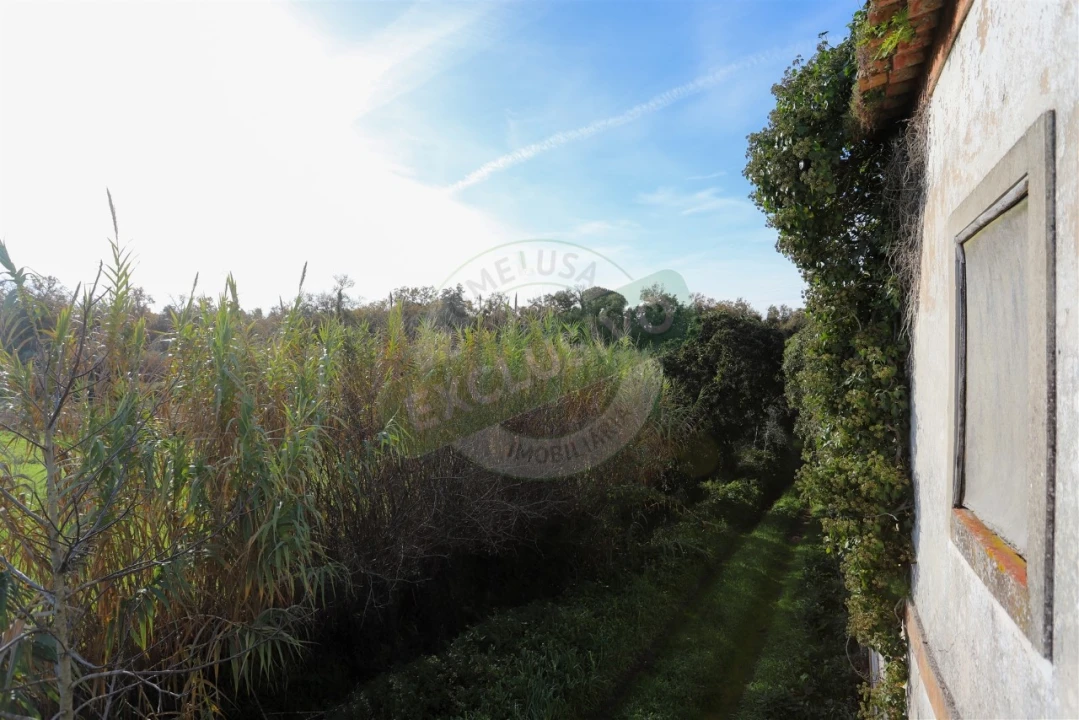 Quinta T5 para Venda em Ega Foto 16