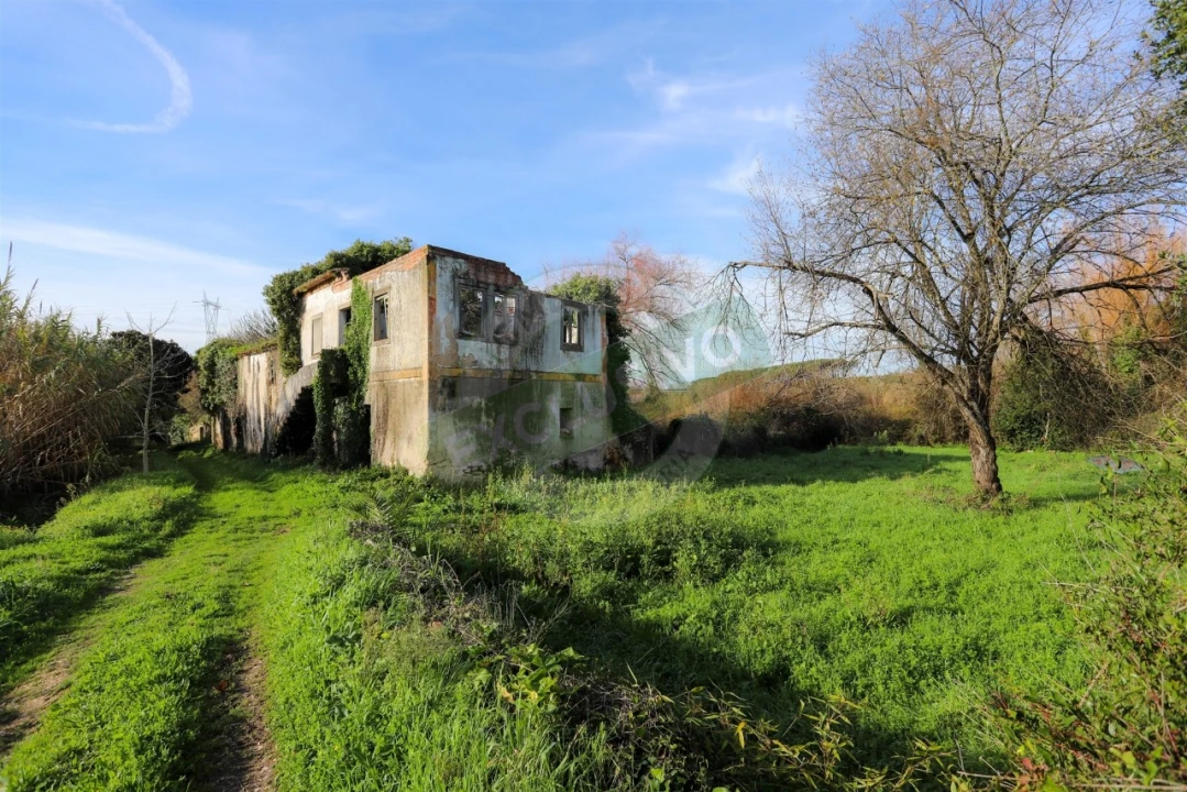 Quinta T5 para Venda em Ega Foto 18