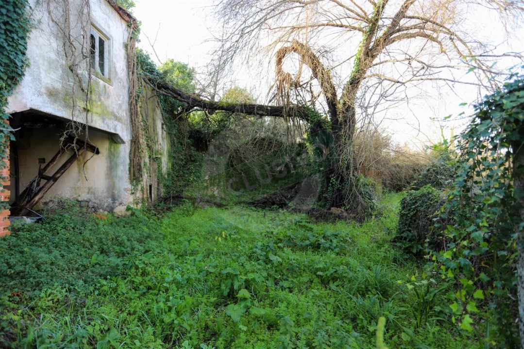 Quinta T5 para Venda em Ega Foto 19