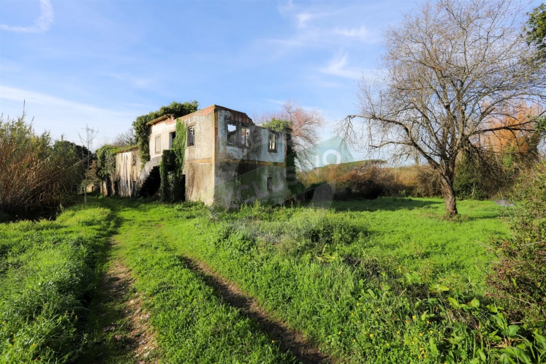 Quinta T5 para Venda em Ega Foto 20