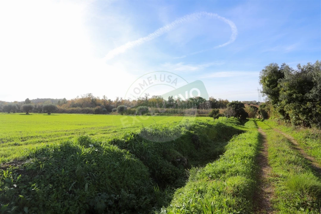 Quinta T5 para Venda em Ega Foto 21