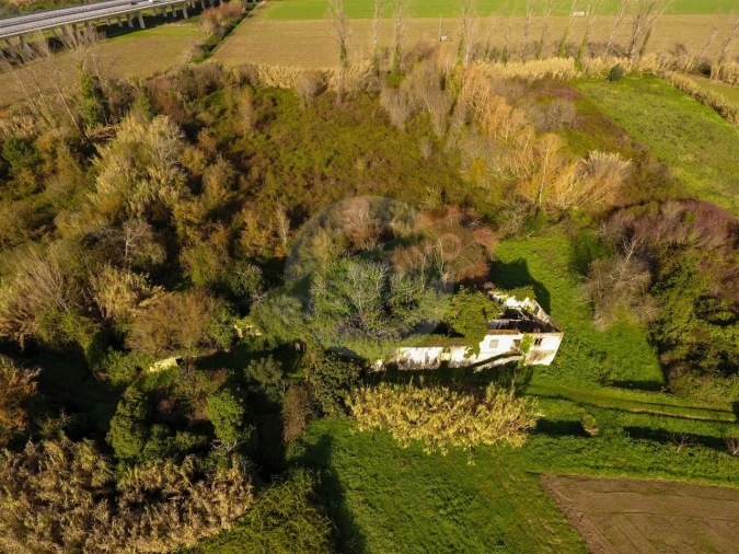 Quinta T5 para Venda em Ega Foto 3