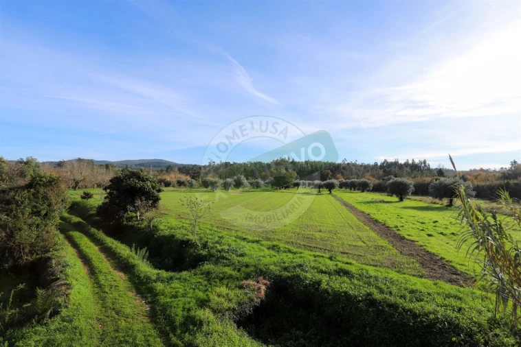 Quinta T5 para Venda em Ega Foto 14