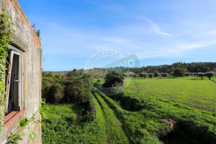 Quinta T5 para Venda em Ega Foto 15