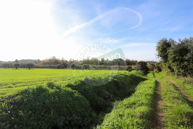 Quinta T5 para Venda em Ega Foto 21