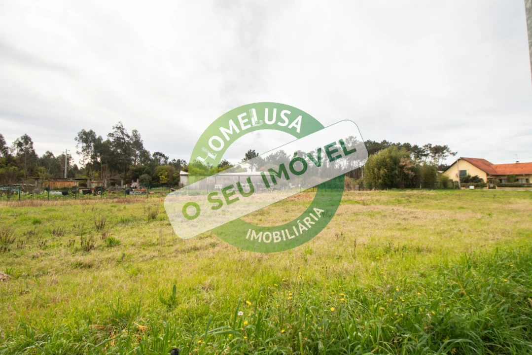Terreno para Venda em Fonte de Angeão e Covão do Lobo Foto 12