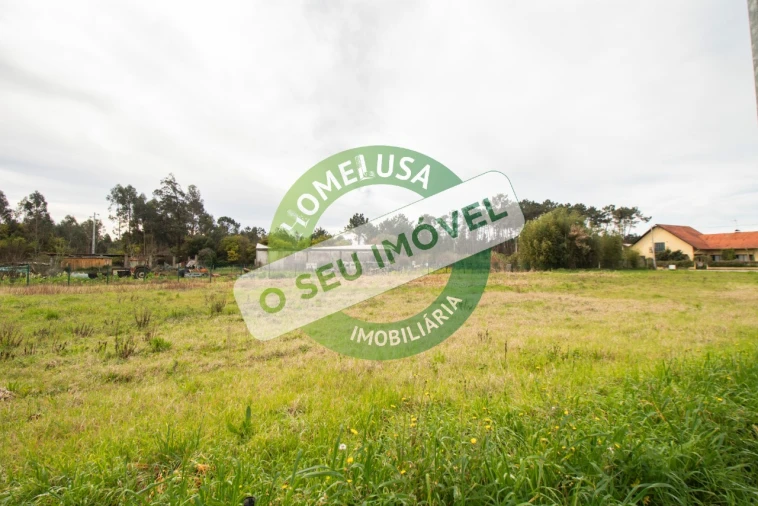 Terreno para Venda em Fonte de Angeão e Covão do Lobo Foto 12