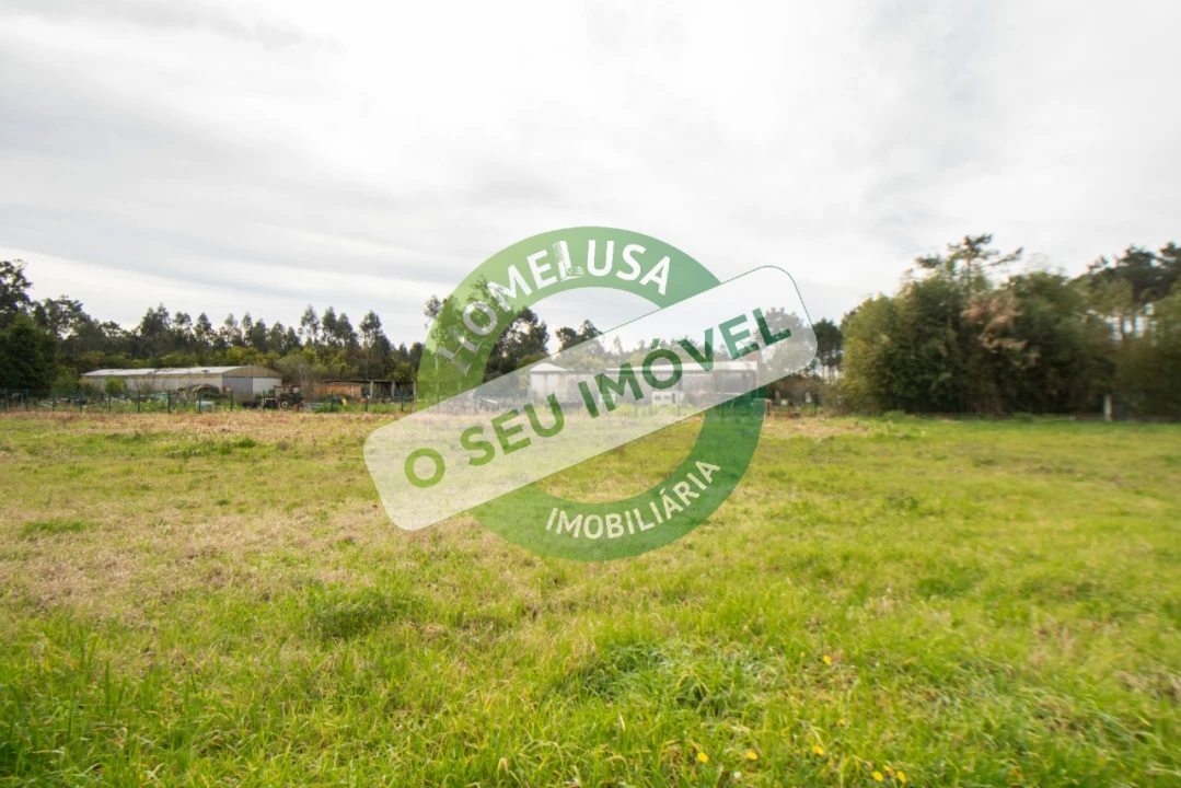 Terreno para Venda em Fonte de Angeão e Covão do Lobo Foto 5