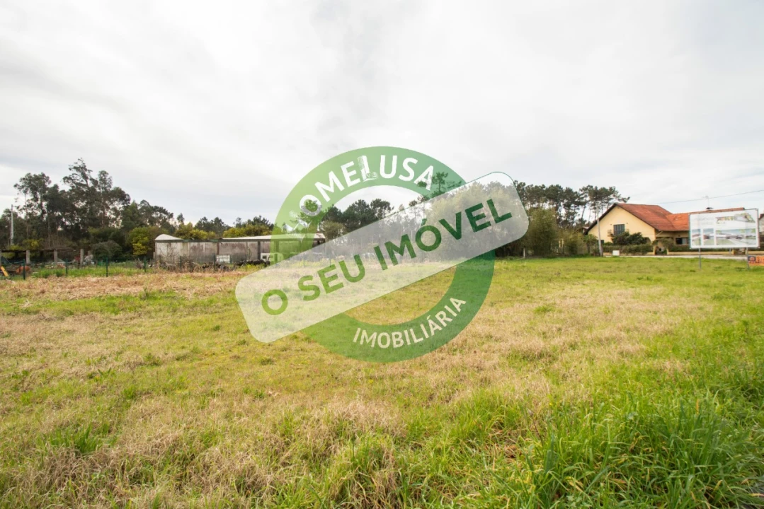 Terreno para Venda em Fonte de Angeão e Covão do Lobo Foto 6