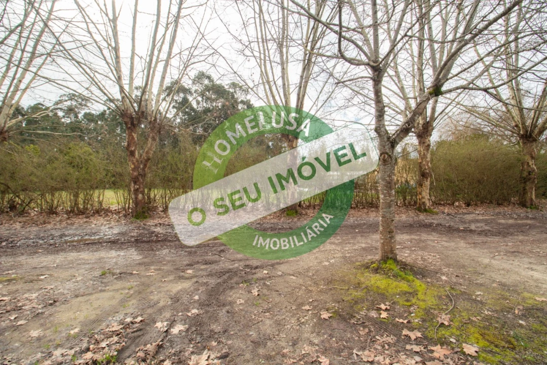 Terreno para Venda em Fonte de Angeão e Covão do Lobo Foto 11