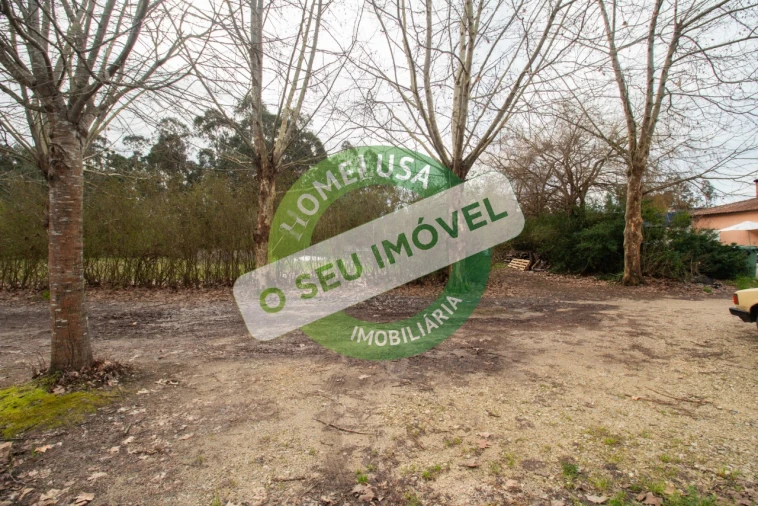Terreno para Venda em Fonte de Angeão e Covão do Lobo Foto 12
