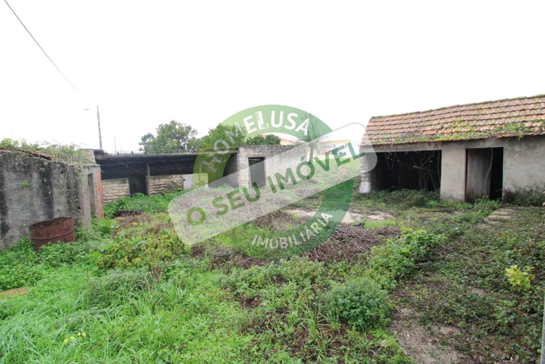 Terreno para Venda em Bom Sucesso Foto 8