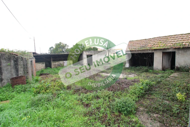 Terreno para Venda em Bom Sucesso Foto 8