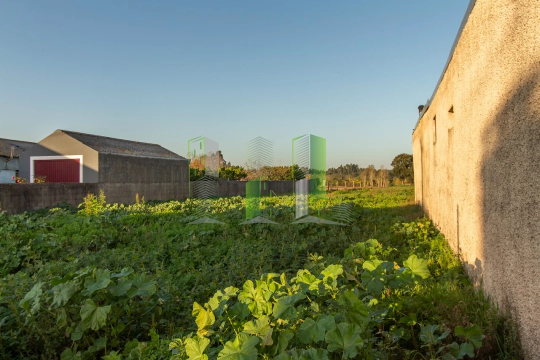 Terreno para Venda em Covões e Camarneira Foto 4