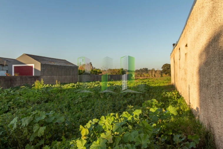 Terreno para Venda em Covões e Camarneira Foto 4