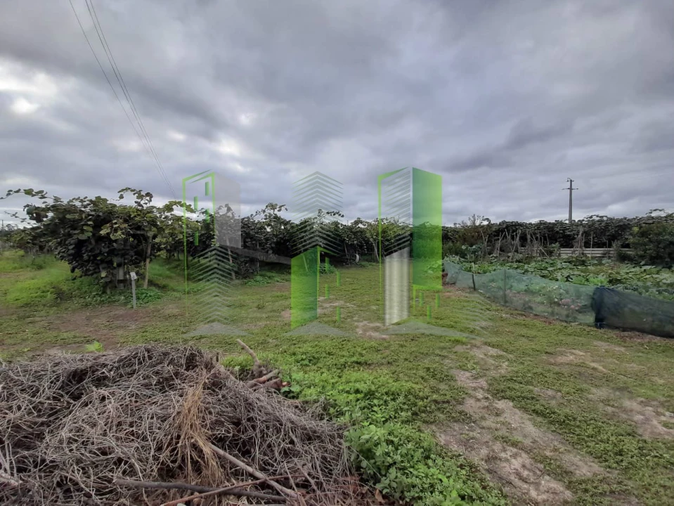 Terreno para Venda em Covões e Camarneira Foto 3