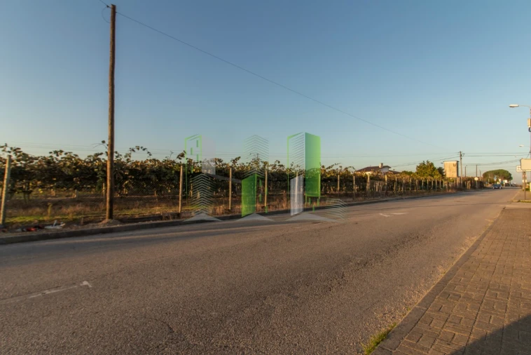 Terreno para Venda em Covões e Camarneira Foto 6