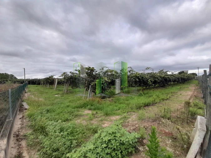 Terreno para Venda em Covões e Camarneira Foto 10