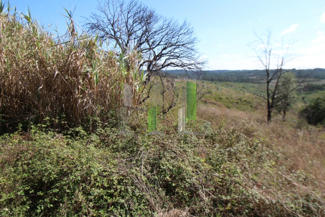 Terreno para Venda em Paião Foto 2