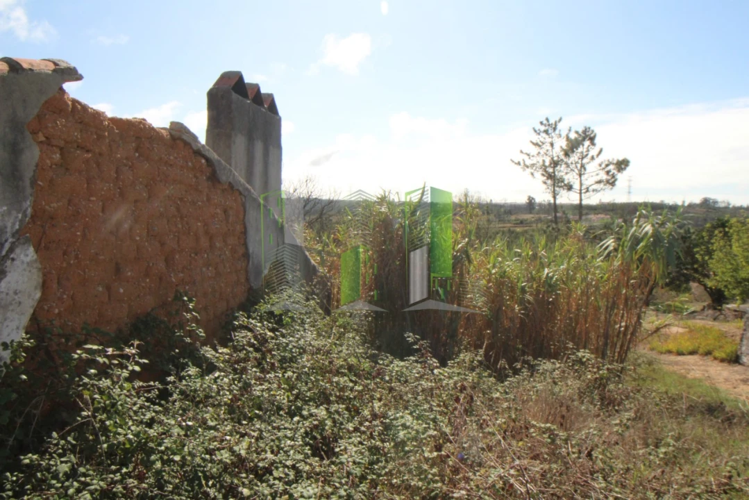 Terreno para Venda em Paião Foto 11