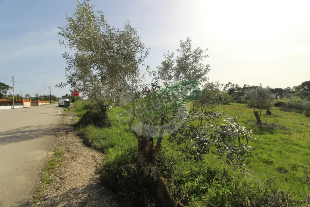 Terreno para Venda em Montemor-O-Velho e Gatões Foto 14